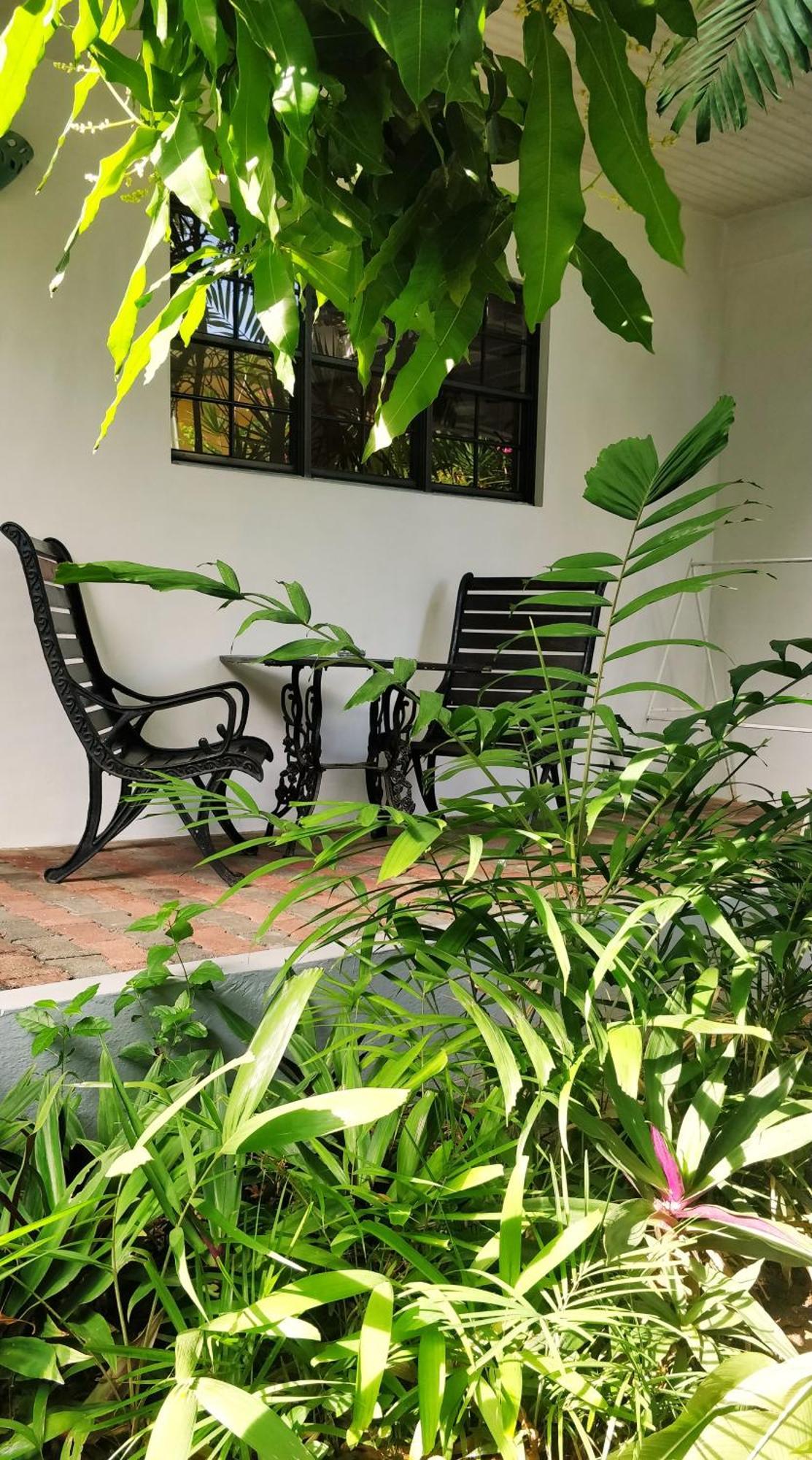 Bananaquit Tobago -Stay Near The Beach Crown Point Exteriör bild