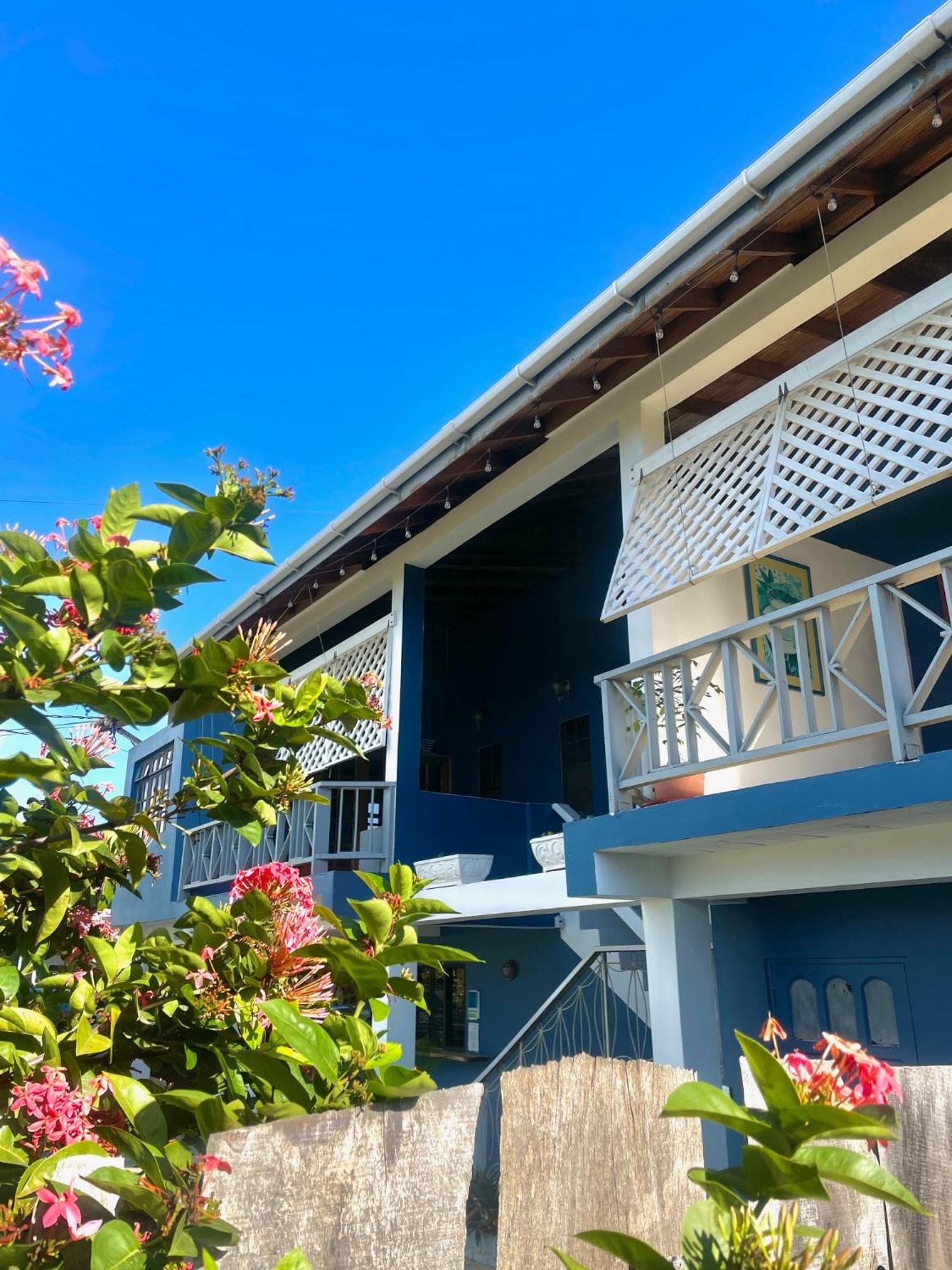 Bananaquit Tobago -Stay Near The Beach Crown Point Exteriör bild
